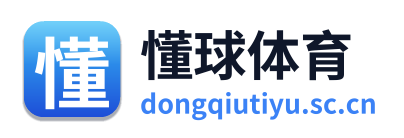 懂球体育